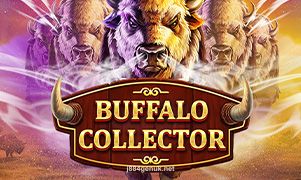 Hình ảnh trò chơi Buffalo Collector tại j884genuk